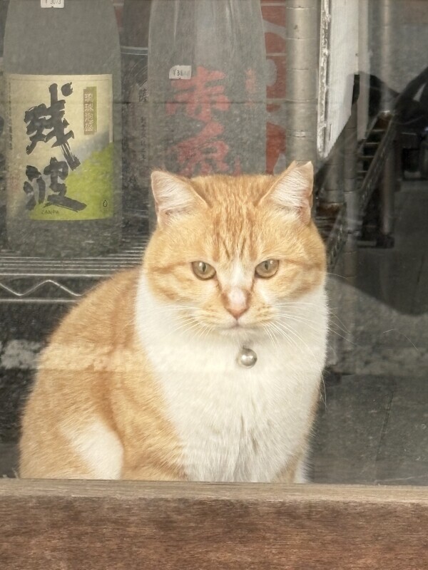 地元のかわい子ちゃん