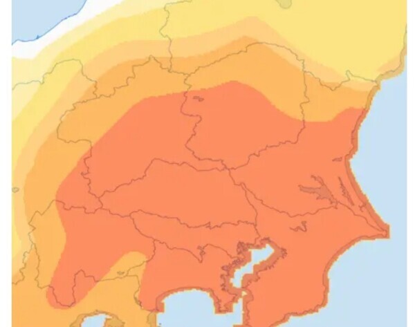 もうやだ(ＴДＴ　)