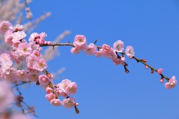 会いたい人には会いに行く！