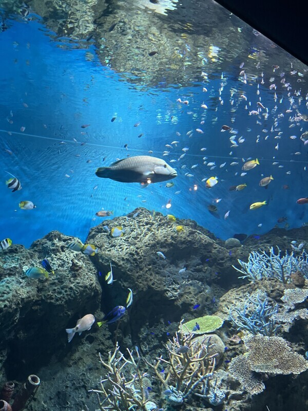 3月5日と7日のお礼💌