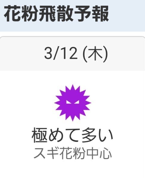 もうやむて(ＴДＴ　)(ＴДＴ　)