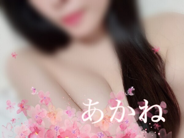 3月20日から復活します🩷