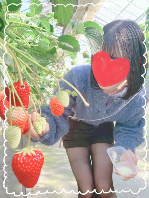 本日出勤です！🍓