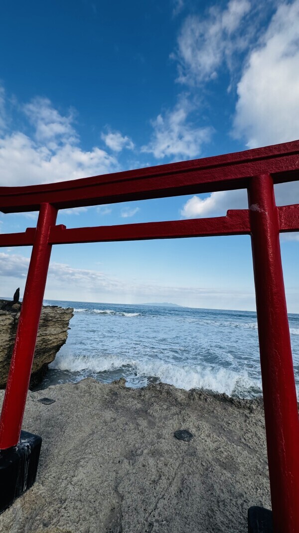 今日もたくさん...