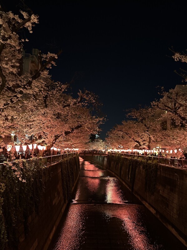 夜の街は深い
