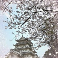ほたる