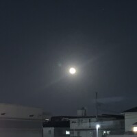 ちな