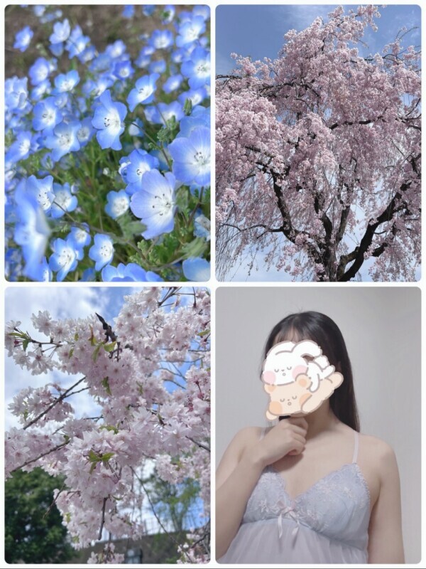 最近の春…💕