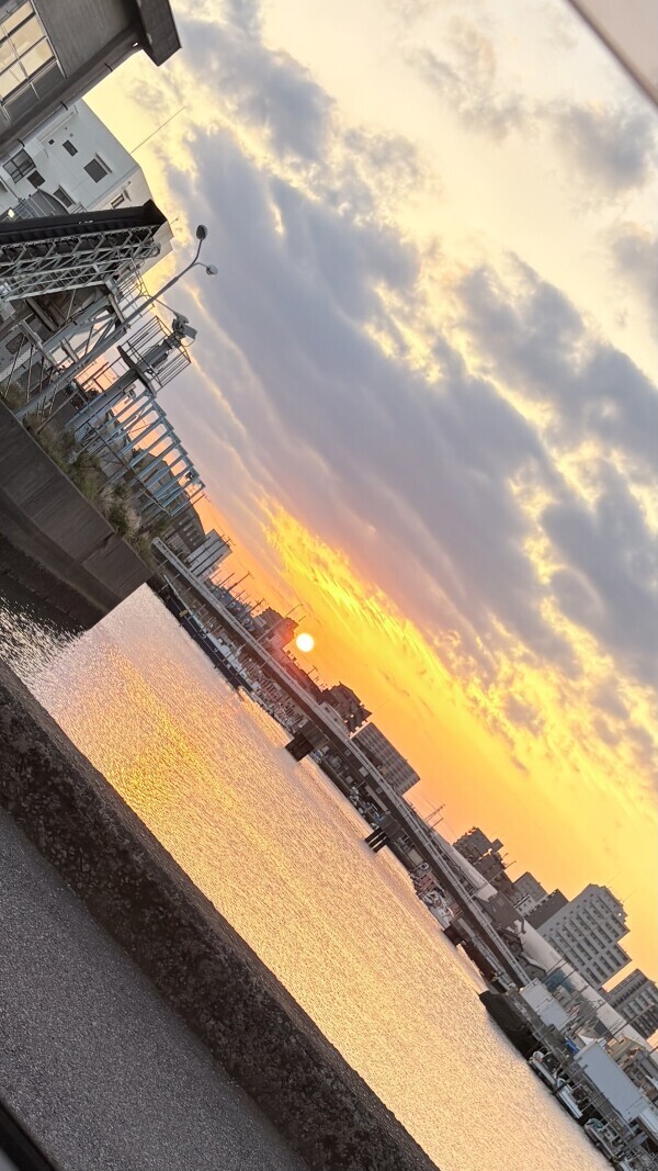 出勤予定✨