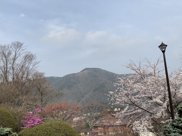 4月30日出勤します🥰