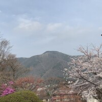 ちな