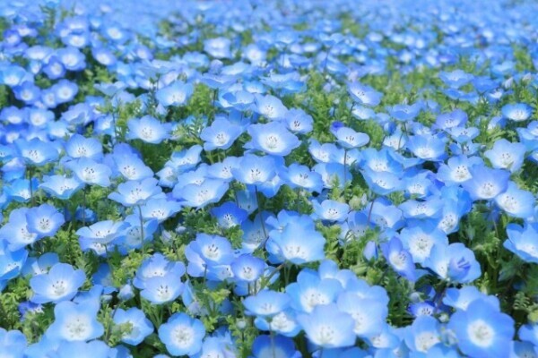 4月はここへ！