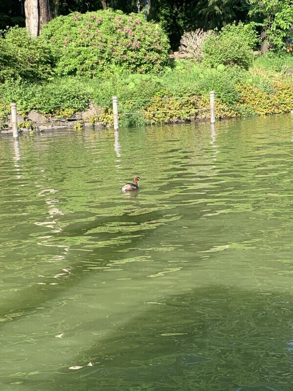 6月1日出勤します🎶