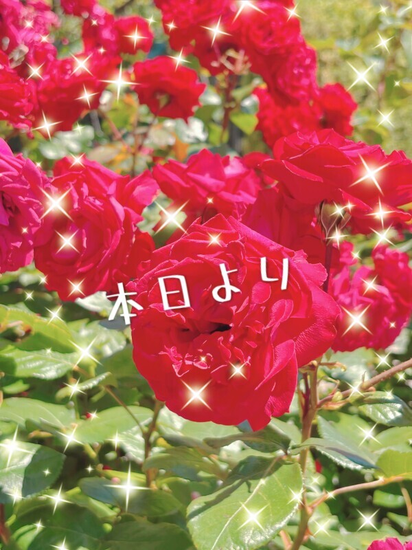 6月出勤初日