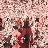 写真より近くで見たほうが、危ないかも。