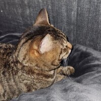 休暇！