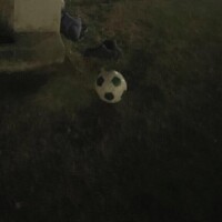 お腹がよじれるくらい笑った日