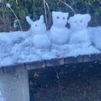 地元は雪雪雪でした