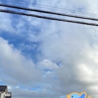 明日は出勤?
