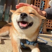 M男飼おうか？
