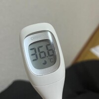 差し入れ?