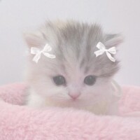 [お題]from:枝豆さん