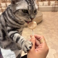 今日もいます??