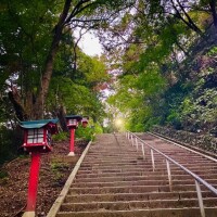 明日出勤????紅葉シーズン???