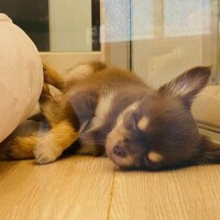 ???お礼日記と?お気に入りスポット??
