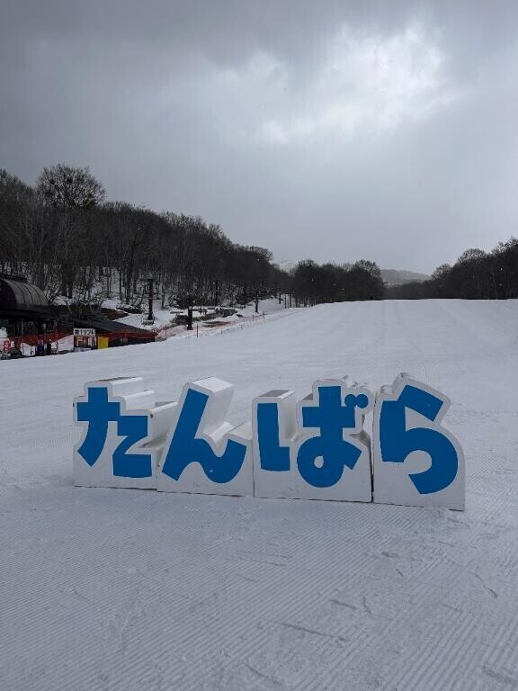 こんにちは?
