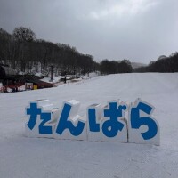 なるみ