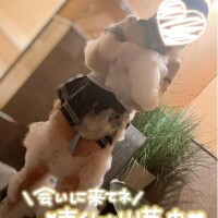 ゆうか