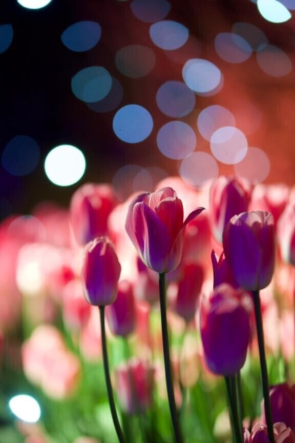 お礼日記?と…出勤したょ???