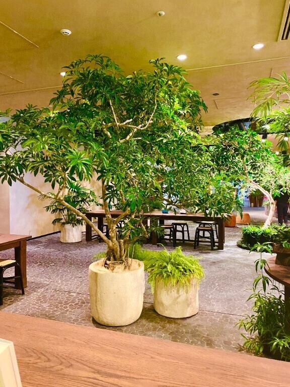 お礼日記?本指day??