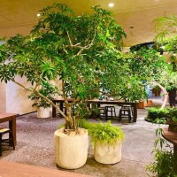 お礼日記?本指day??