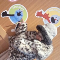 ???過ぎる……( ??ω?? )