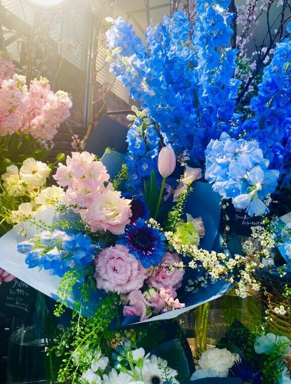 お礼日記と出勤のお知らせ???