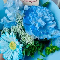 本指様感謝Day?????