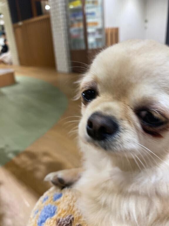 19時から