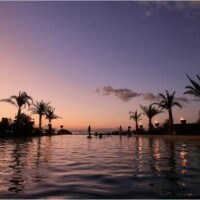 ?????出勤のお知らせ?????