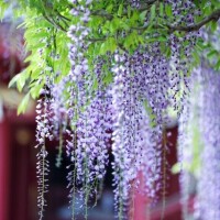 ??お礼日記と?映画鑑賞??