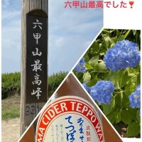 東京ニシナ