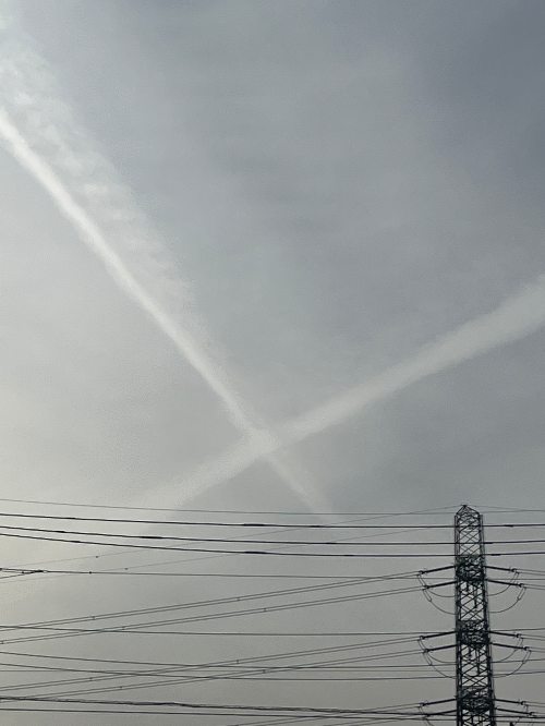 千葉行きまーす！