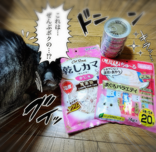 いつもさみしい思いさせてる相棒へ