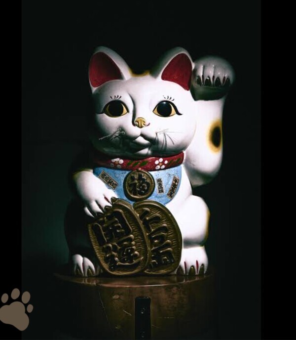 ブラック招き猫