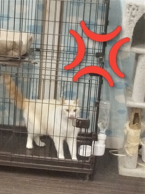 片思い😢💕💕