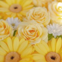 美澄あかり（みすみあかり）