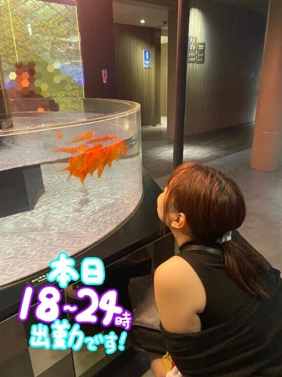 出勤してます。24時まで