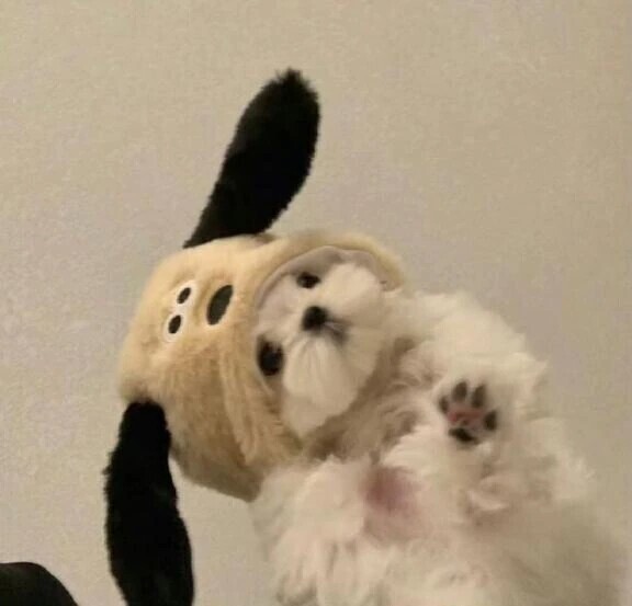 🈳🩵