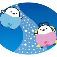 小泉のどか